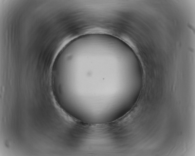 X0000097831008200803140824