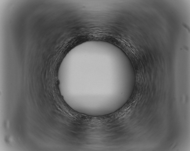 X0000097831009200803140823