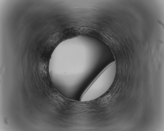 X0000097831010200803140823