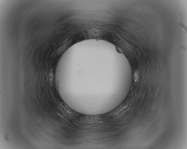 X0000097831011200803140823