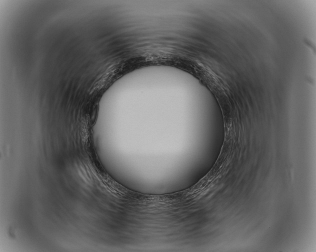 X0000097831012200803140823