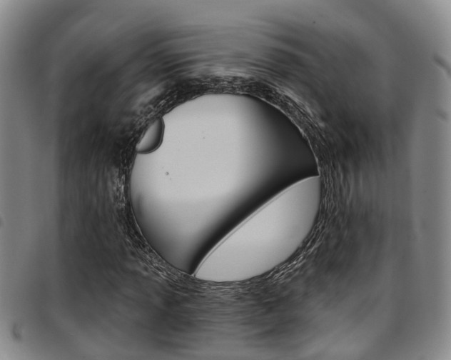 X0000097831013200803140823
