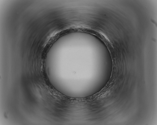 X0000097831016200803140823