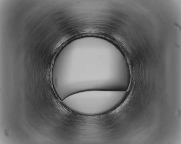 X0000097831017200803140823