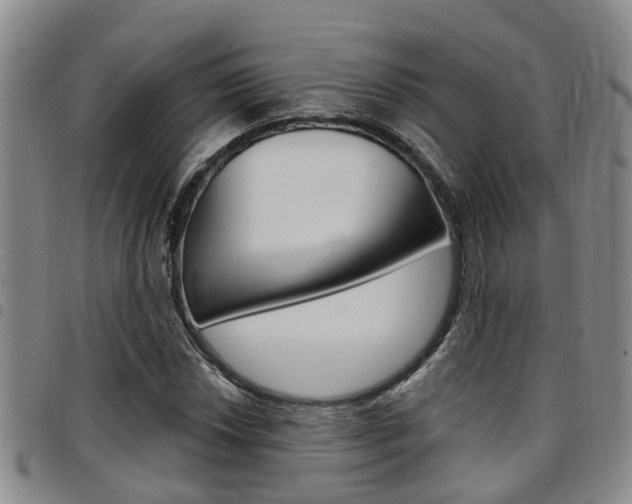 X0000097831018200803140823