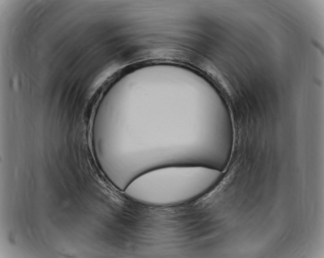 X0000097831019200803140823