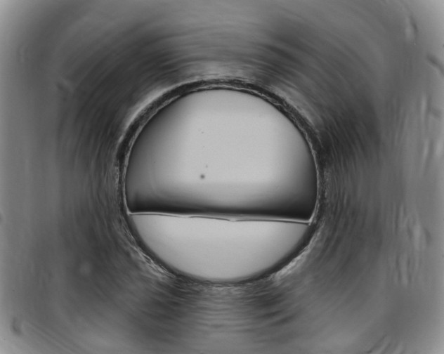 X0000097831021200803140823