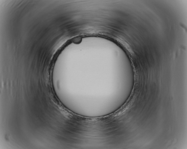 X0000097831023200803140823