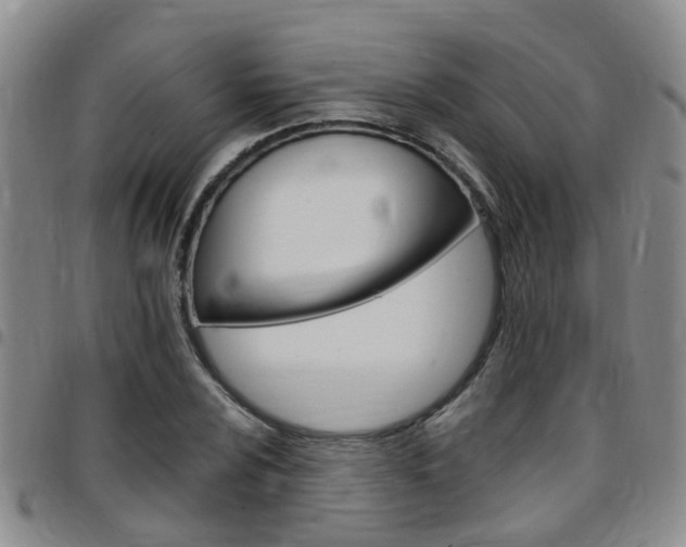 X0000097831024200803140823