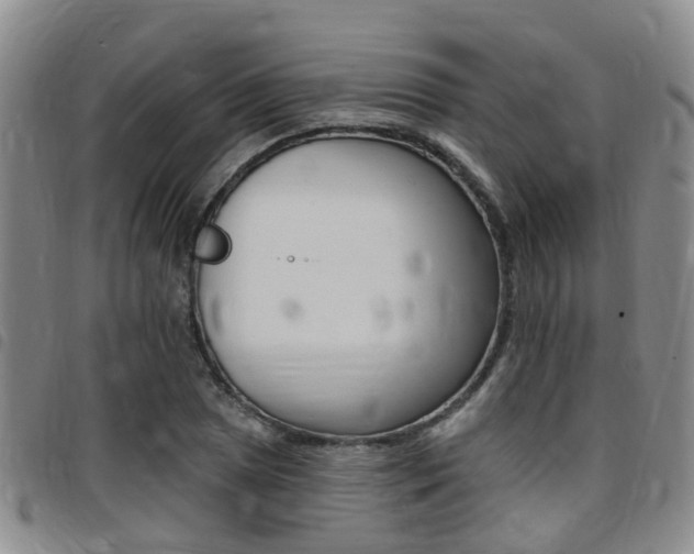 X0000097831025200803140823