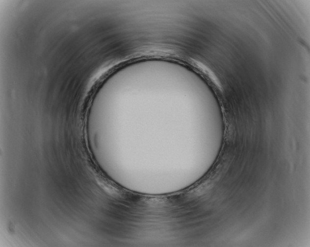 X0000097831027200803140823