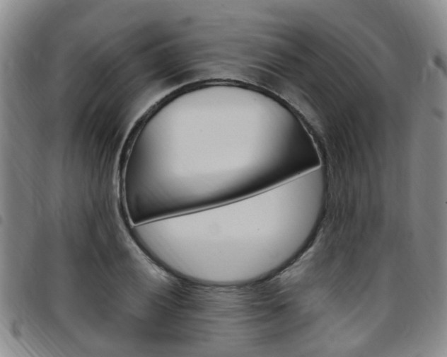 X0000097831028200803140823