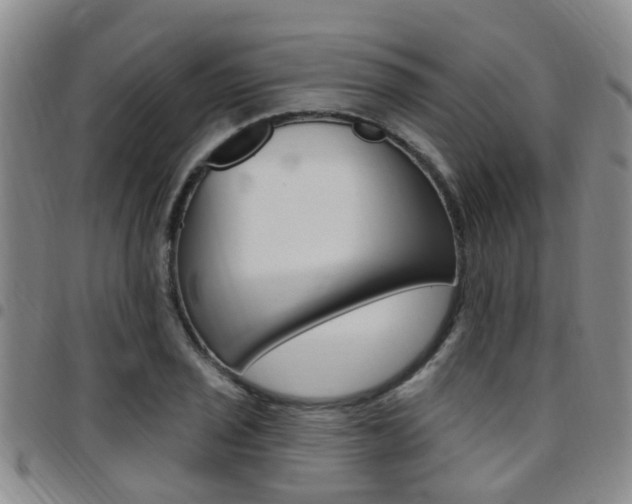 X0000097831029200803140823