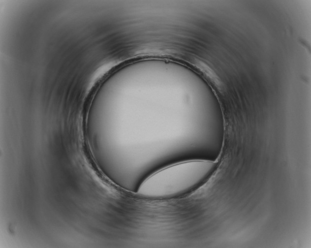X0000097831030200803140823