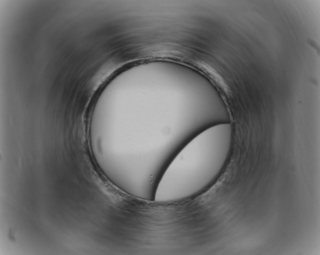 X0000097831031200803140823