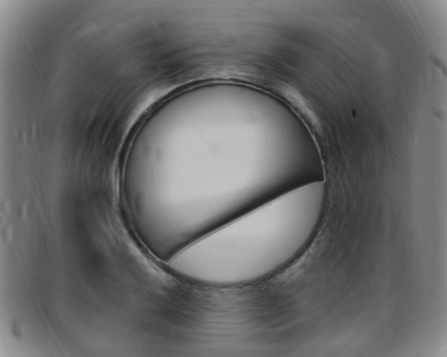 X0000097831032200803140823