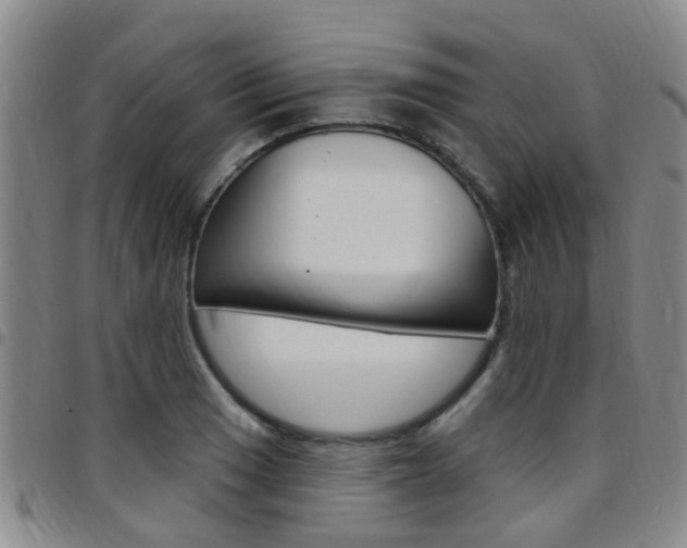 X0000097831033200803140823