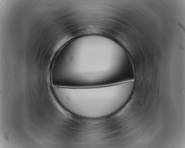X0000097831034200803140823