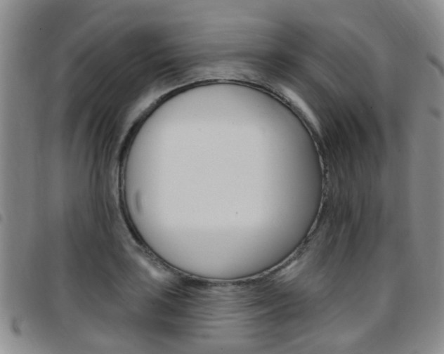 X0000097831035200803140823