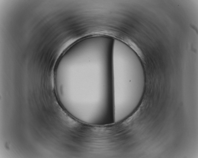 X0000097831036200803140823