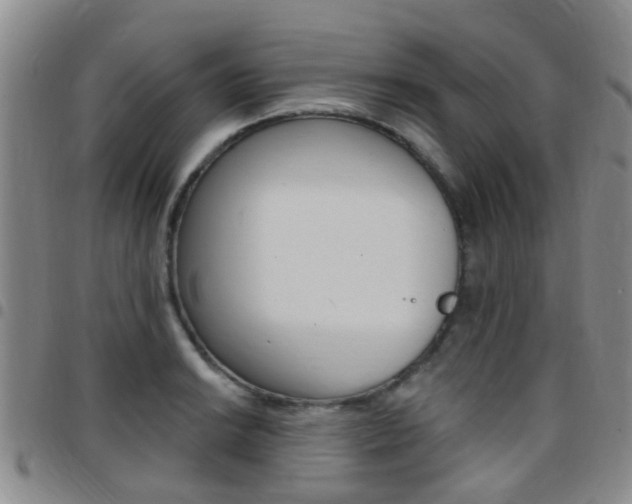 X0000097831038200803140823