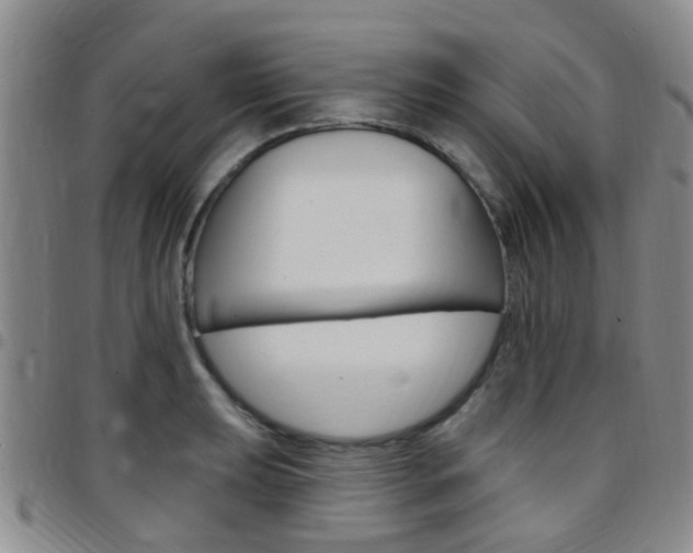 X0000097831039200803140823