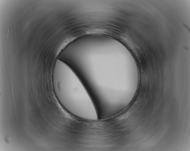 X0000097831041200803140823