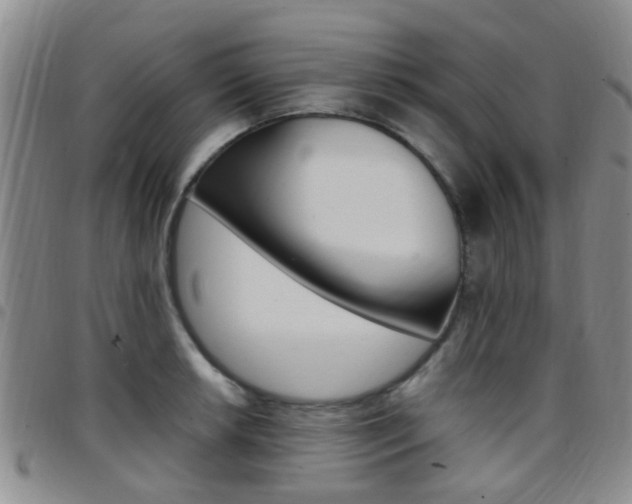 X0000097831042200803140823