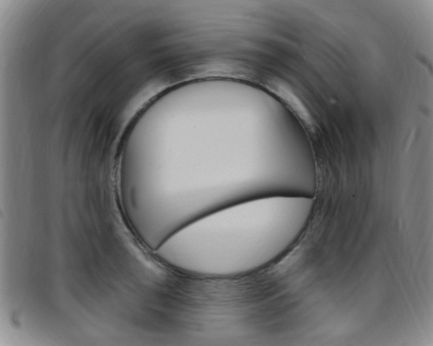 X0000097831043200803140823