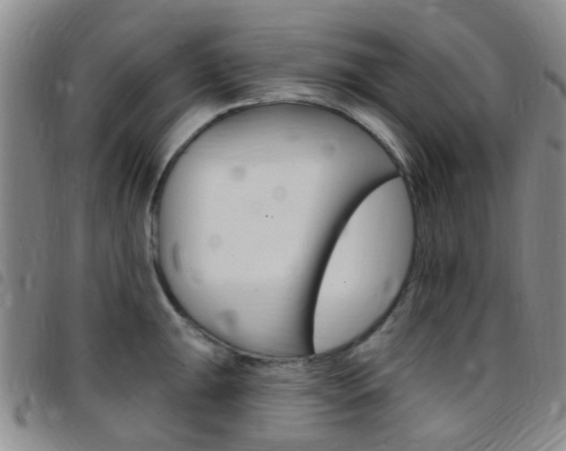 X0000097831047200803140824
