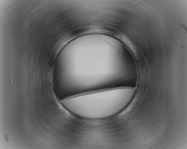 X0000097831049200803140824
