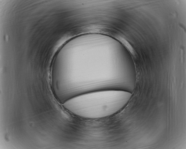 X0000097831051200803140824