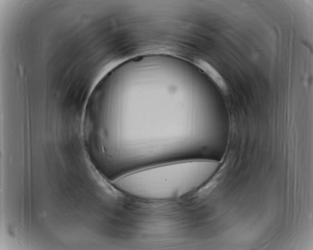 X0000097831052200803140824