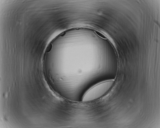 X0000097831053200803140824