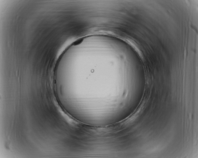 X0000097831054200803140824