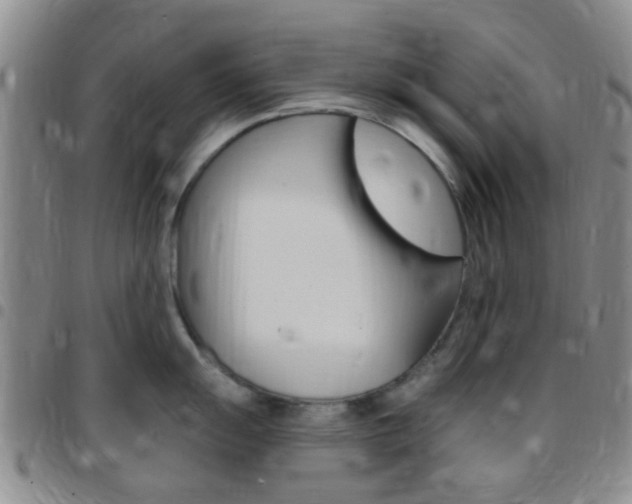 X0000097831055200803140824