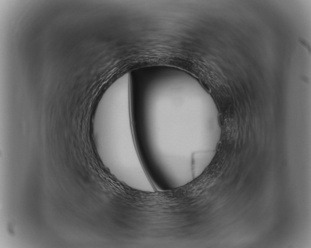 X0000097831057200803140823