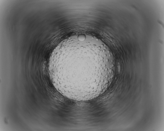 X0000097831059200803140823