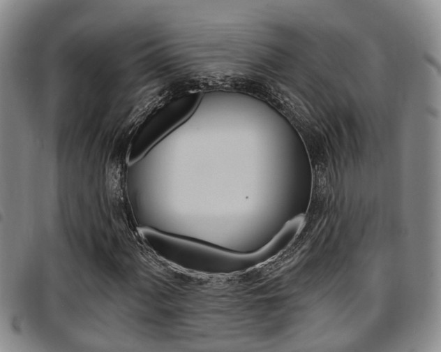 X0000097831060200803140823
