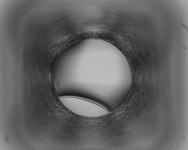 X0000097831061200803140823