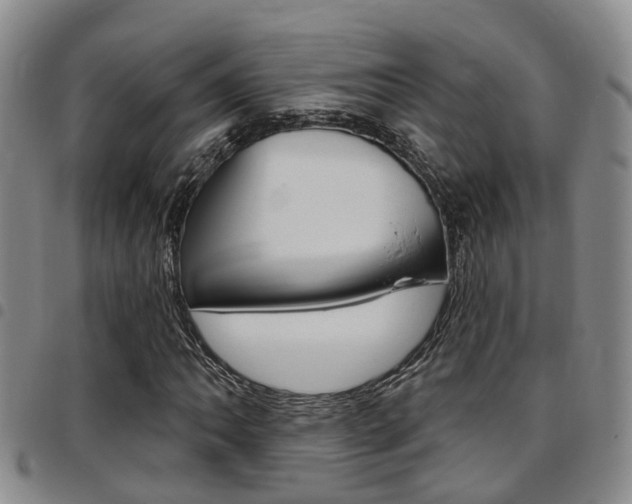 X0000097831062200803140823