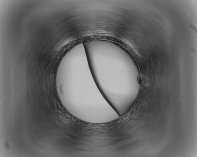 X0000097831063200803140823