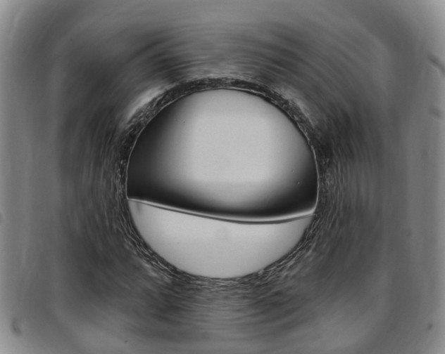 X0000097831064200803140823