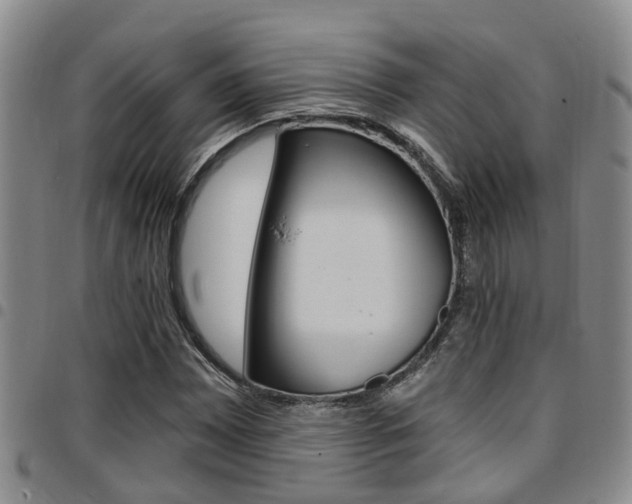 X0000097831065200803140823