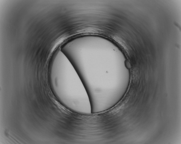 X0000097831067200803140823