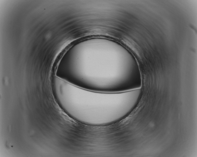 X0000097831068200803140823