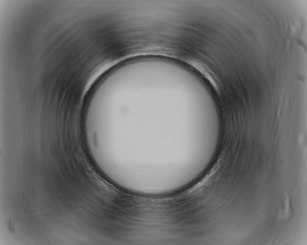 X0000097831069200803140823