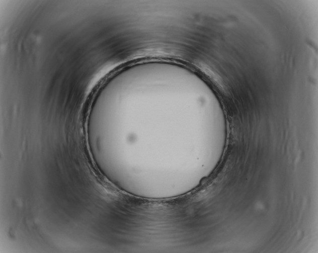 X0000097831070200803140823