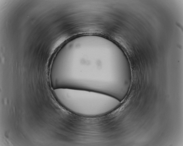 X0000097831071200803140823