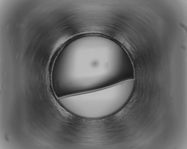 X0000097831072200803140823